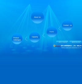 宾时力精密模塑科技(上海)有限公司