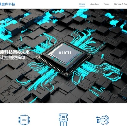 奥库科技-让控制更简单