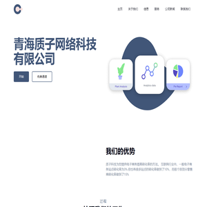青海质子网络科技有限公司