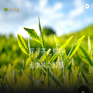 福建省银芝集团