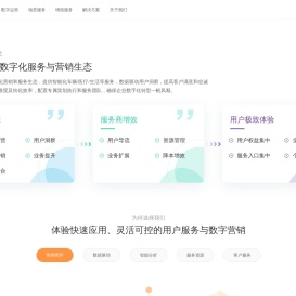 数字营销解决方案专家