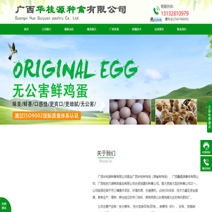 广西快大黄鸡苗批发|花鸡苗|良凤花鸡苗|乌鸡苗|蛋鸡苗批发|南宁土鸡苗销售供应商|广西土鸡蛋批发-广西华桂源种禽有限公司