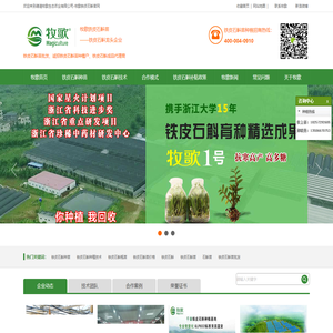 铁皮石斛种植基地-铁皮石斛种苗批发价格-德清牧歌生态农业有限公司