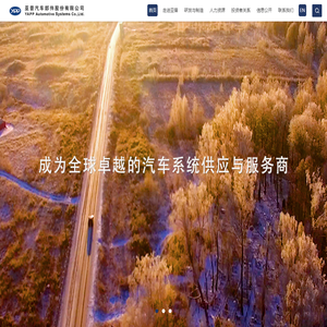 亚普汽车部件股份有限公司