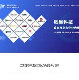 数字化平台开发_佛山抖音运营_小程序开发_高端定制网站公司_全网营销推广-凤星科技