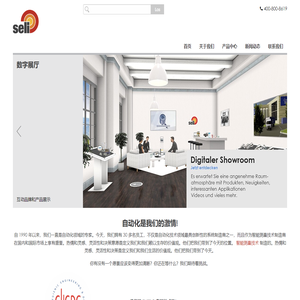 SELI-传感器-中国