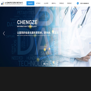 山东诚择信息技术有限公司