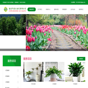 网红南京绿植租赁_花卉出租_办公室租花_植物租摆推荐南京千花汇园艺有限公司