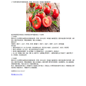 2277安卓网-安卓apk软件_手机应用app下载_手游排行榜_最好玩的安卓游戏