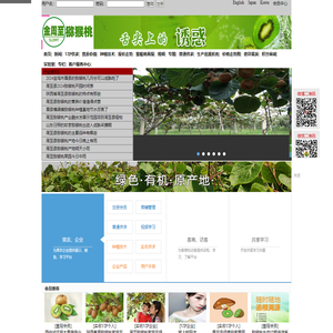 金周至猕猴桃网-十里地|猕猴桃苗木|猕猴桃鲜果|猕猴未来