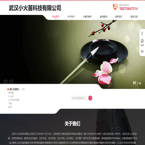 武汉小火苗科技有限公司_武汉小火苗科技有限公司
