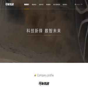 锋巢集团