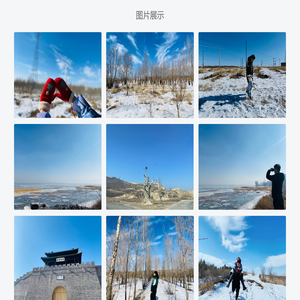 小李样网