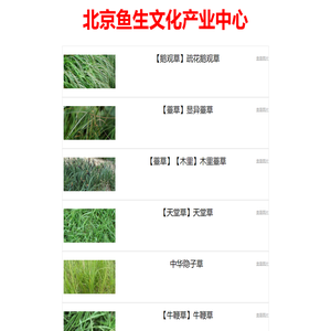 鱼生号 - 陪你看世界、发现更多有趣知识