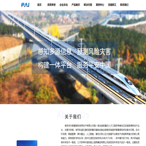 南京派光