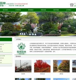 银杏_美国红枫_娜塔栎_樱花_海棠_绿化苗木供应商-山东程锦绿化苗木有限公司