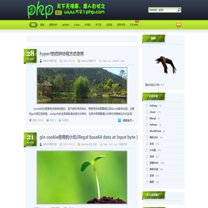521PHP博客|我爱你PHP技术分享