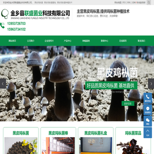 黑皮鸡枞菌_黑皮鸡枞菌菌包_黑皮鸡枞菌种植技术-金乡县联盛菌业科技有限公司