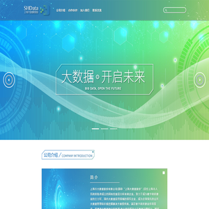 上海市大数据股份有限公司