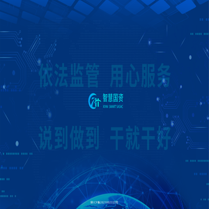 智慧国资门户