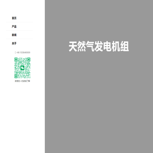 发电机组_柴油燃气沼气发电机组生产厂家_施利得