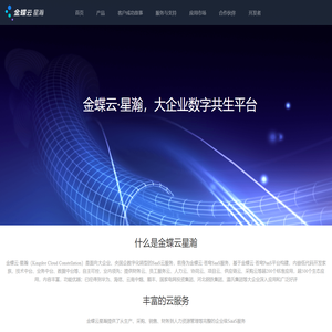 金蝶云星瀚