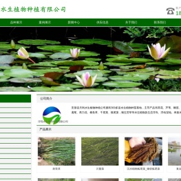 水生植物_沉水植物_人工浮岛-_浮动湿地-天利水生植物