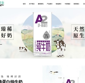 山东视界酪乳有限公司 视界牧业 东君乳业 东君集团_其它_A2纯牛奶_视界牧业牛奶_视界牧业乳酸菌