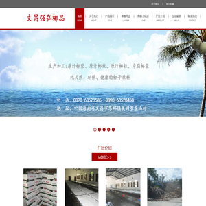 文昌强弘椰品有限公司