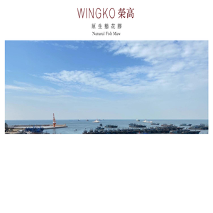WINGKO榮高
