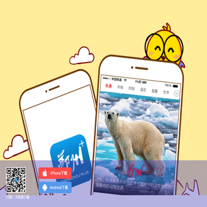 郑州晚报-本地权威资讯-下载APP客户端