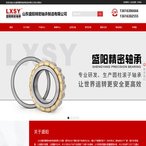 山东盛阳精密轴承制造有限公司