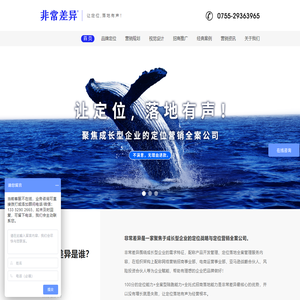 深圳品牌营销策划全案公司-非常差异