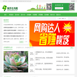 花卉_养花技巧_花卉知识大全_养花达人第一网站-海洋花卉网