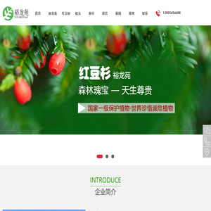 曼地亚红豆杉_红豆杉种植基地_山东红豆杉_烟台红豆杉_山东裕龙苑紫杉生态园有限公司