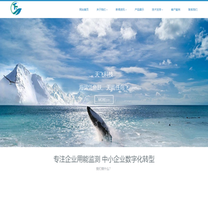 江西天飞科技有限责任公司