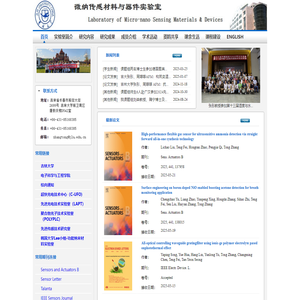 微纳传感材料与器件实验室