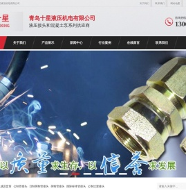 胶管总成|液压接头|过渡接头|测压管|测压接头厂家-青岛十星液压机电有限公司_青岛十星液压机电有限公司