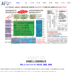 深圳国芯人工智能有限公司