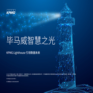 毕马威智慧之光