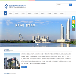 南京仪信自动化工程有限公司|德国E+H|海康|福禄克|雷泰|菲力尔