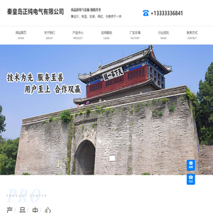 秦皇岛正纯电气有限公司