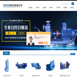 河北龙通泵业有限公司