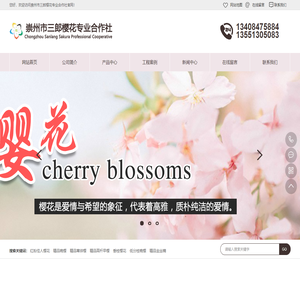 四川成都樱花-四川樱花基地-成都高杆樱花-成都垂枝樱花-崇州市三郎樱花专业合作社
