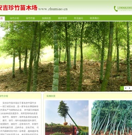 竹苗栽培、竹苗、竹绿化、安吉珍竹苗木场