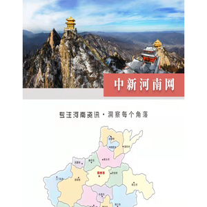 中新河南网