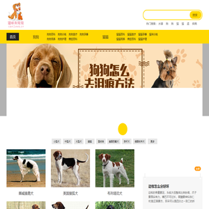 猫狗伴侣网_猫狗伴侣网