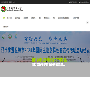 【黑嘴鸥】- 黑嘴鸥保护协会官网