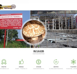 厦门农佳乐食品有限公司