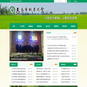 稻米-天长市稻米协会